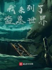 我來到了盜墓世界
