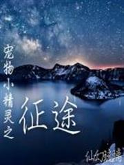 寵物小精靈之徵途