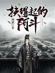 扶得起的阿斗