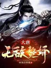 大唐無敵贅婿