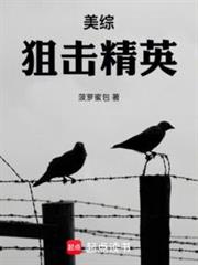 美綜：狙擊精英