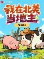 我在北美當地主