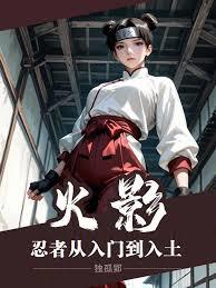 火影：忍者從入門到入土