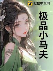 極品小馬夫