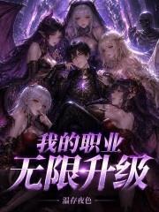 我的職業無限升級
