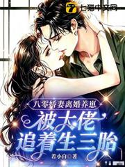 八零嬌妻離婚養崽，被大佬追著生三胎