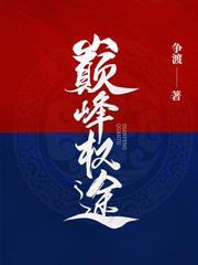 權力巔峰：從省府秘書開始
