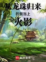 從龍珠歸來的我當上火影
