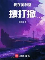 我在美利堅搜打撤