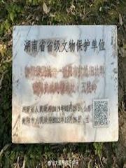 我的異常調查報告