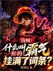 海賊：什麼叫你的霸氣掛滿了詞條