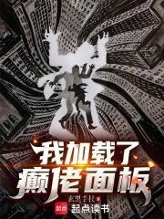 我加載了癲佬面板