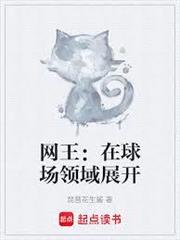 網王：在球場領域展開