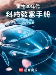 重生80年代：科技致富手冊