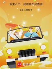 重生八二：我靠修車成首富