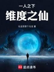 一人之下：維度之仙