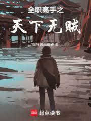 全職高手之天下無賊