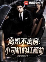 離婚不離房，小司機的紅顏劫