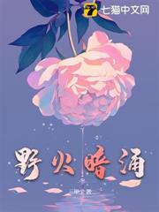 野火暗涌