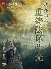 我在中土重鑄法環榮光