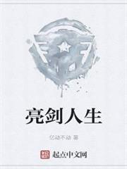 亮劍人生