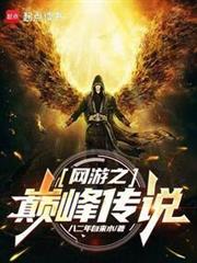 網遊之巔峰傳說